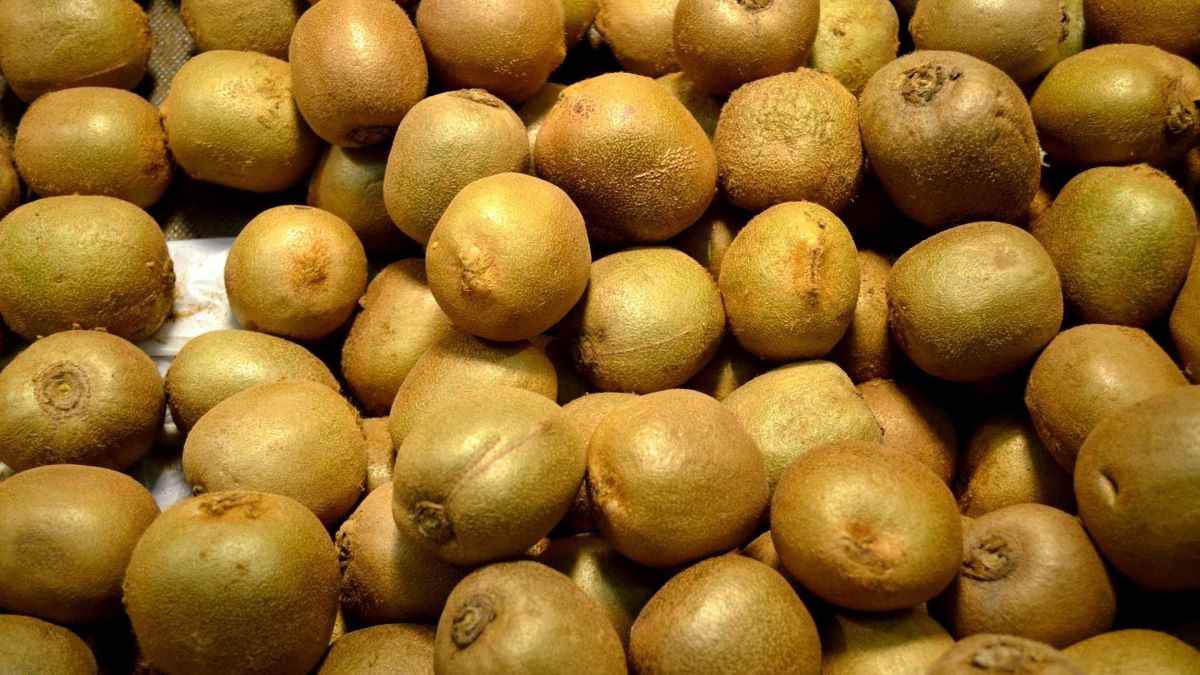 Imagen hiperespectral en infrarrojo cercano para evaluar calidad y madurez del kiwi en poscosecha.jpg